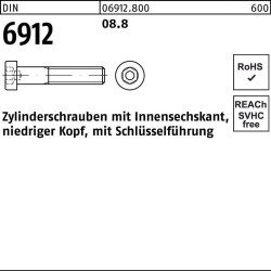 Zylinderschraube DIN 6912 Innen-6kt M6x 25 8.8 500 Stück