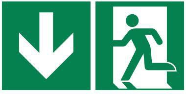 Hinweisschild Notausgang 30x15cm Hart-PVC