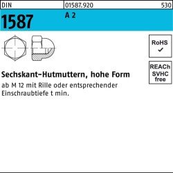 Sechskanthutmutter DIN 1587 M6 A 2 50 Stück