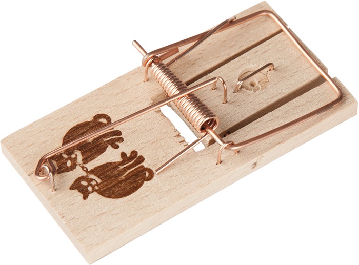 Schlagfalle Mausefalle 95x50mm FREUND