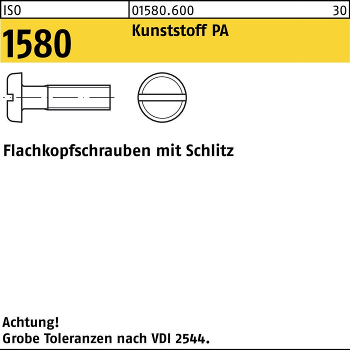 Flachkopfschraube ISO 1580 Schlitz M6x 30 Polyamid 200 Stück