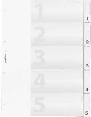 DURABLE Register 682019 DIN A4 5teilig umschweißte Taben