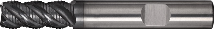 Schaftfräser DIN 6527L Typ HR D.20mm Einsatz-L.54mm VHM TiAlN HB Z.6 lang TW