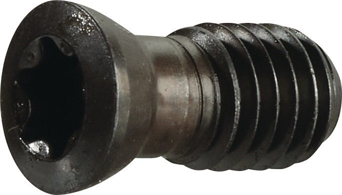 Spannschraube US 4511 Gr.T20 f.SEKT/SEET 1204 z.Planfräser TECWERK
