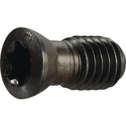 Spannschraube US 4511 Gr.T20 f.SEKT/SEET 1204 z.Planfräser TECWERK