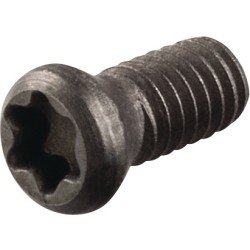 Spannschraube US2506 Gr.T8 TECWERK
