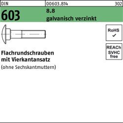 Flachrundschraube DIN 603 Vierkantansatz M6x40 8.8 galv.verz. 200St.