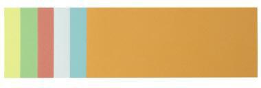Soennecken Moderationskarte 4877 9,5x20,5cm sort. 250 St./Pack.