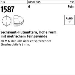 Sechskanthutmutter DIN 1587 M10x 1 SW 17 6 hohe FormFeingew. 100 Stück