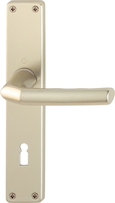 Langschildgarnitur Birm.1117/202SP Alu.F2 OB 72mm DIN L/R HOPPE