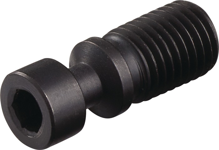 Spannschraube KH0617-S3 TECWERK