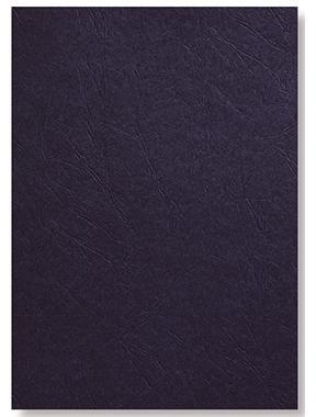 GBC Einbanddeckel HiGloss CE020010 DIN A4 250g schwarz 100 St./Pack.