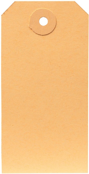 Etiketten m.Anhängeöse Maße 50x100mm Qualität 190g/qm altweiß TRANSPAK