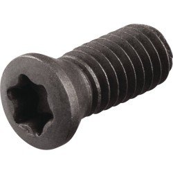 Spannschraube WS0620-S4 TECWERK