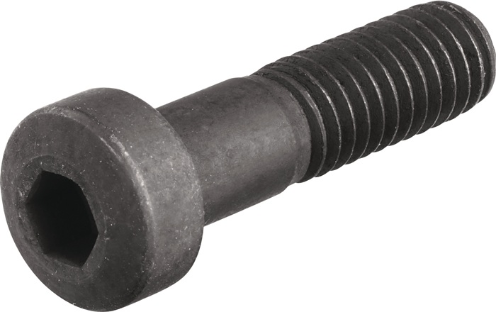 Spannschraube WS0621-S4 TECWERK