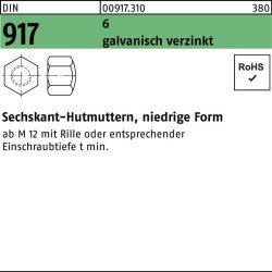 Sechskanthutmutter DIN 917 niedrige Form M 30 6 galvanisch verzinkt 10 Stück