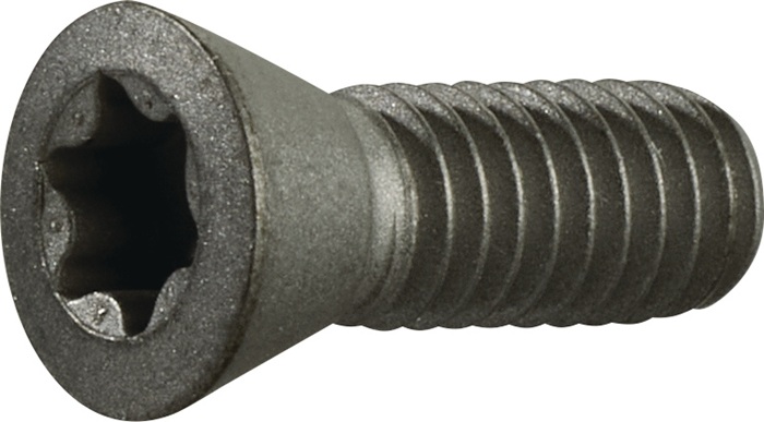 Spannschraube Gr.T20 f.TCMT 16/SCMT 12 z.Fasenfräser TECWERK