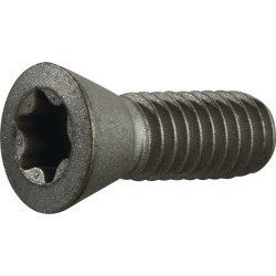 Spannschraube Gr.T20 f.TCMT 16/SCMT 12 z.Fasenfräser TECWERK