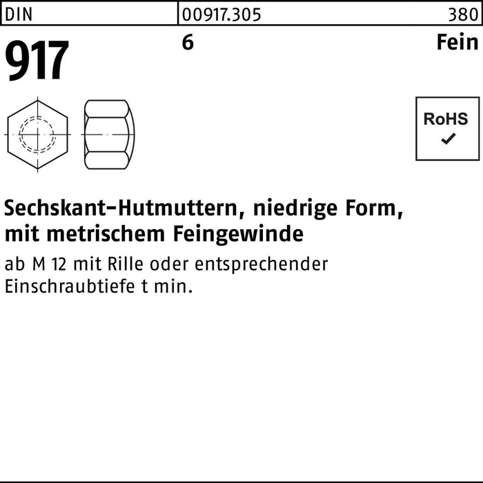Sechskanthutmutter DIN 917 niedrige FormM24x 2 6 10 Stück
