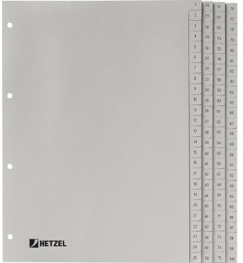Hetzel Register 721311 DIN A4 1-100 100-teilig PP grau
