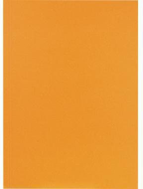 Falken Aktendeckel 80001282 23x31,8cm 250g or 100 St./Pack.