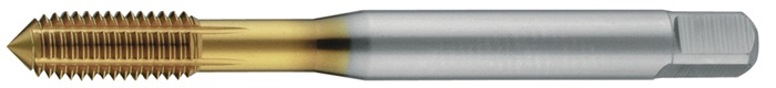 Gewindeformer DIN 2174 (DIN 371) M5 Form C HSS-Co TiN 6HX m.SN TECWERK