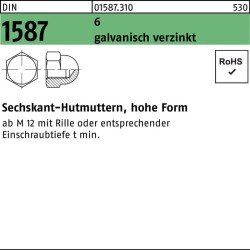 Sechskanthutmutter DIN 1587 M12 SW 19 6 galv.verz. 200 Stück