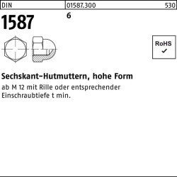 Sechskanthutmutter DIN 1587 M30 6 hohe Form10 Stück