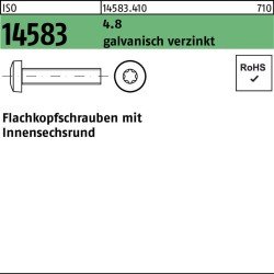 Flachkopfschraube ISO 14583 ISR M5x6 4.8 galv.verz. 2000St.