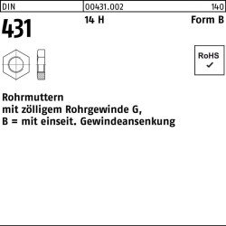 Rohrmutter DIN 431 BG 1/4 SW22 14 H 50 Stück