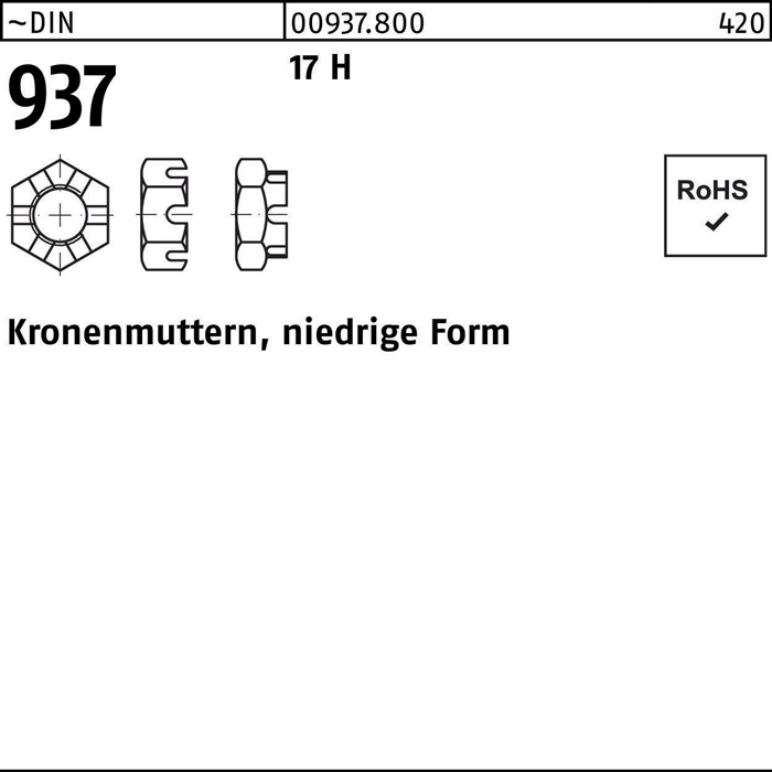 Kronenmutter DIN 937 niedrige FormM12 17 H 100 Stück