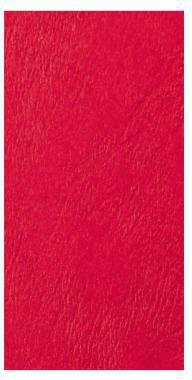 GBC Einbanddeckel LeatherGrain CE040031 DIN A4 rot 100 St./Pack.