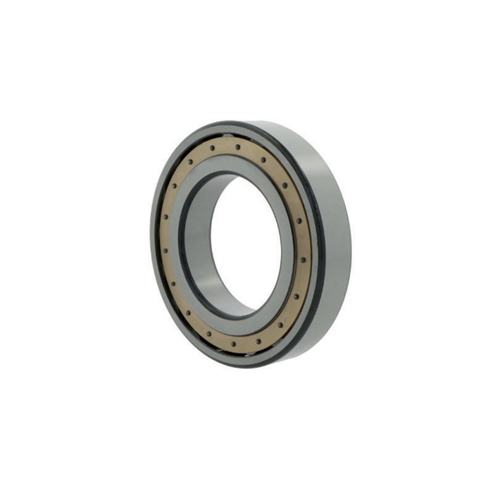 Tonnenlager 20219 -MB ID 95mm AD 170mm Breite32mm FAG