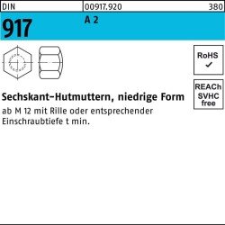 Sechskanthutmutter DIN 917 niedrige FormM16 A 2 10 Stück
