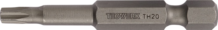 Bit 1/4 Zoll T 25 L.50mm m.Bohr.TECWERK