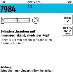 Zylinderschraube DIN 7984 Innen-6kt M6x 25 A 2 100 Stück