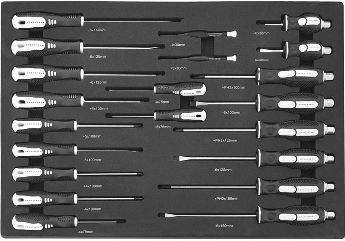 Werkzeugmodul 21-tlg.Schraubendreher-Set STAHLWERK